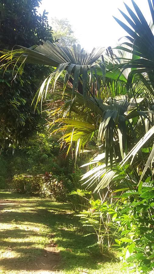 Villa Casita Rio Indio Nombre de Dios Exterior foto