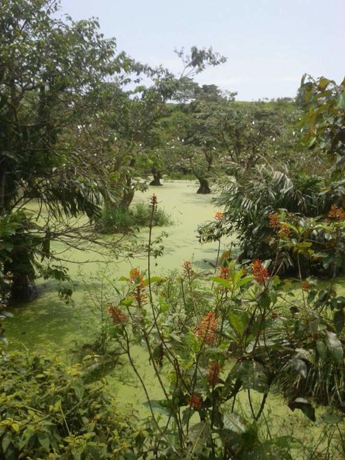 Villa Casita Rio Indio Nombre de Dios Exterior foto